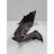 Flanc avant droit Honda Forza 125 2021