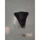 P1087486-Cache V de bulle Honda Forza 125 / 350 2022-Honda Forza 125 / 350 2021 - 2024-okazmoto.fr