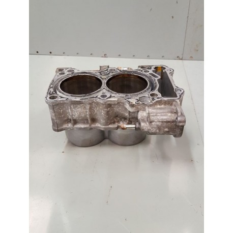 P1086466-Bloc cylindre pistons Suzuki 650 Burgman 2009-pièces moteur-okazmoto.fr