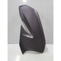 P1079740-Flanc avant droit Honda Forza 125 2019-Honda Forza 125 / 300 2018 - 2020-okazmoto.fr